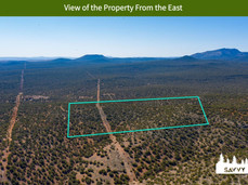 View of the Property From the East.jpeg