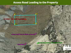 Access Road Leading to the Property.jpeg