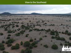 View to the Southeast.jpeg