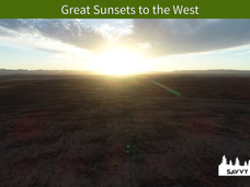 Great Sunsets to the West.jpeg