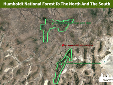 Humboldt National Forest To The North And The South.jpeg