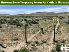 There Are Some Temporary Fences For Cattle in This Area.jpeg