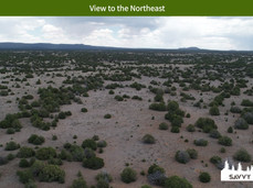 View to the Northeast.jpeg