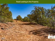 Road Leading to the Property.jpeg