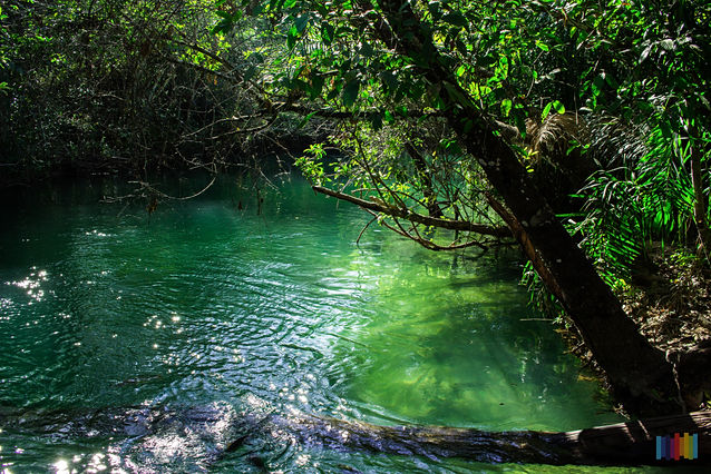 Fotografia, Artística, Galeria, Natureza,Brasil,Foco, Retrato.