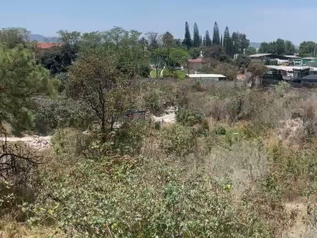 Indignación por vertido ilegal de basura en el Bosque El Nixticuil tras jornada de saneamiento comunitario