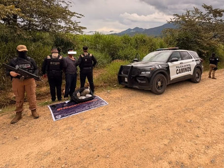 Detienen a Presunto Distribuidor de Droga con Siete Kilos de Marihuana en Talpa de Allende