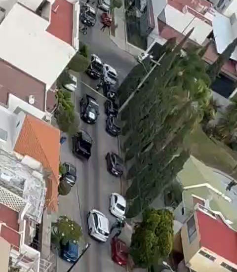 Operativo aéreo y terrestre en Providencia logra captura de presunto ladrón de relojes de lujo