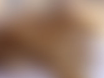Guadalajara autoriza 258 puestos para venta de empanadas por Semana Santa 2026