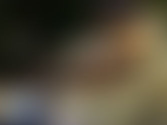 Código Rojo en Poza Rica: Fuertes detonaciones en la colonia Agustín Lara activan despliegue policial