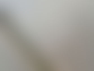 Hombre es atacado tras liberar leones en santuario de Ocoyoacac