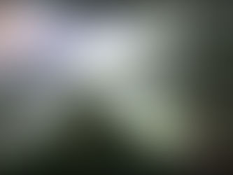 SSC aclara reporte de presunto abandono de menor en la alcaldía Tlalpan