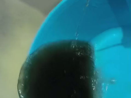 Vecinos del Área Metropolitana de Guadalajara denuncian suministro de agua con olor desagradable y coloración oscura