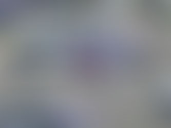 Spiderman en Arkansas: Héroe sin capa rescata a persona en silla de ruedas