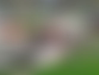 Tornado en Lena, Illinois, causa daños severos pero sin pérdida de vidas