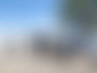 Concluyen limpieza histórica de lirio en la Presa Las Pintas