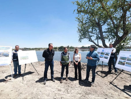 Concluyen limpieza histórica de lirio en la Presa Las Pintas