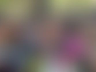 Localizan con vida a familia colombiana privada de la libertad en Tonalá