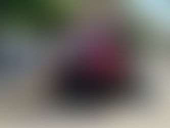 Ataque de abejas en el Instituto Jalisciense de Ciencias Forenses deja varios lesionados