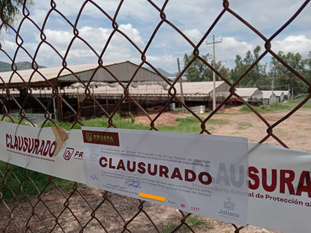 Impulsan la protección ambiental: PROEPA realiza más de 100 clausuras en 9 meses