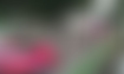 Vecinos de la colonia Vallarta San Jorge denuncian abandono recurrente de basura en la vía pública