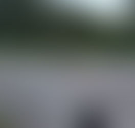 Excursionista sobrevive al encuentro cercano con un oso grizzly en el bosque de Canadá