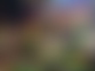 Accidente en feria de Ecuador deja a una mujer gravemente herida