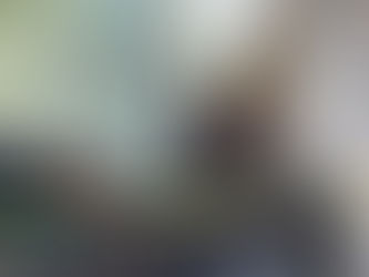 Localizan osamenta en finca abandonada del fraccionamiento Hacienda Santa Fe