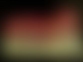 Gobierno de Guadalajara clausura establecimientos por exceso de ruido en operativo permanente