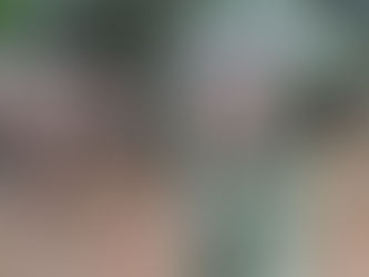 Catean finca en Lomas de Zapopan por presunta elaboración de dulces con marihuana