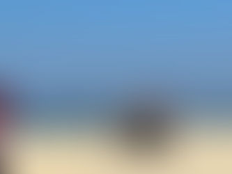 Capturan y reubican cocodrilo de 3 metros en Playa Bachoco, Puerto Escondido