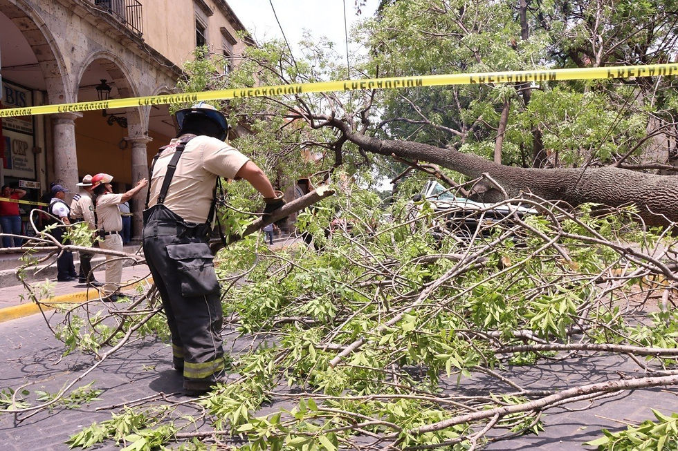 Guadalajara realiza más de 9 mil acciones preventivas contra inundaciones ante temporal de lluvias 2026