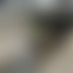 Tlajomulco invierte 40 mdp en desazolve preventivo para mitigar riesgos de inundación