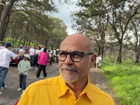 Reforestan La Primavera
