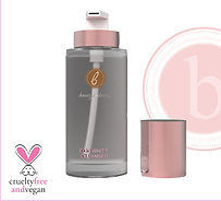 Screen Shot 2021-03-13 at 12.53.32 PM.png