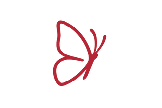 Side view Red Butterfly Transparent Image.png