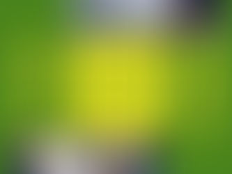 Poet Profile: Véronique Scheyvaerts