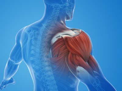 Rotator Cuff injury Symptoms