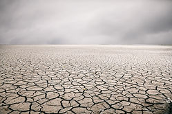 Desert of cracked earth.jpeg