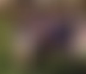 Minety 1st XV v Devizes 2nd XV