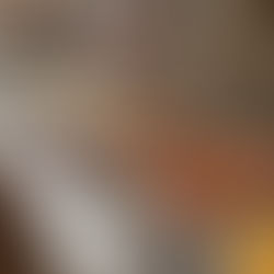 Gandhi’s Revenge 2019