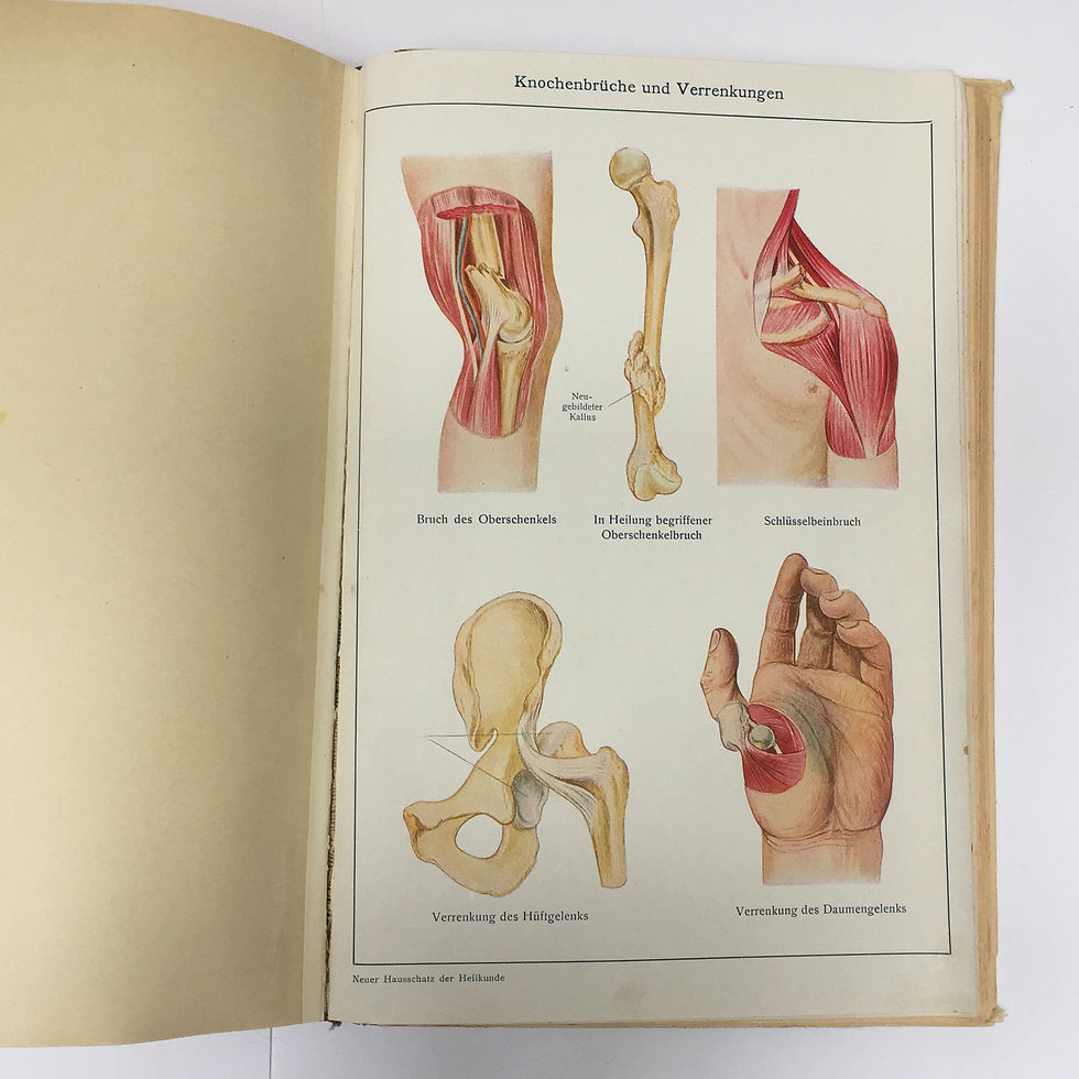 Thumbnail: Mid Century German 3D Medical Book