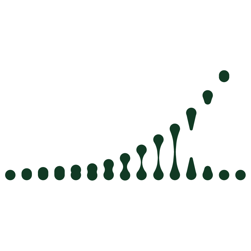 Intune Shapes Weighted-02.webp