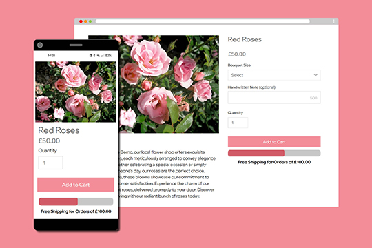 Free Shipping Progress Bar banner