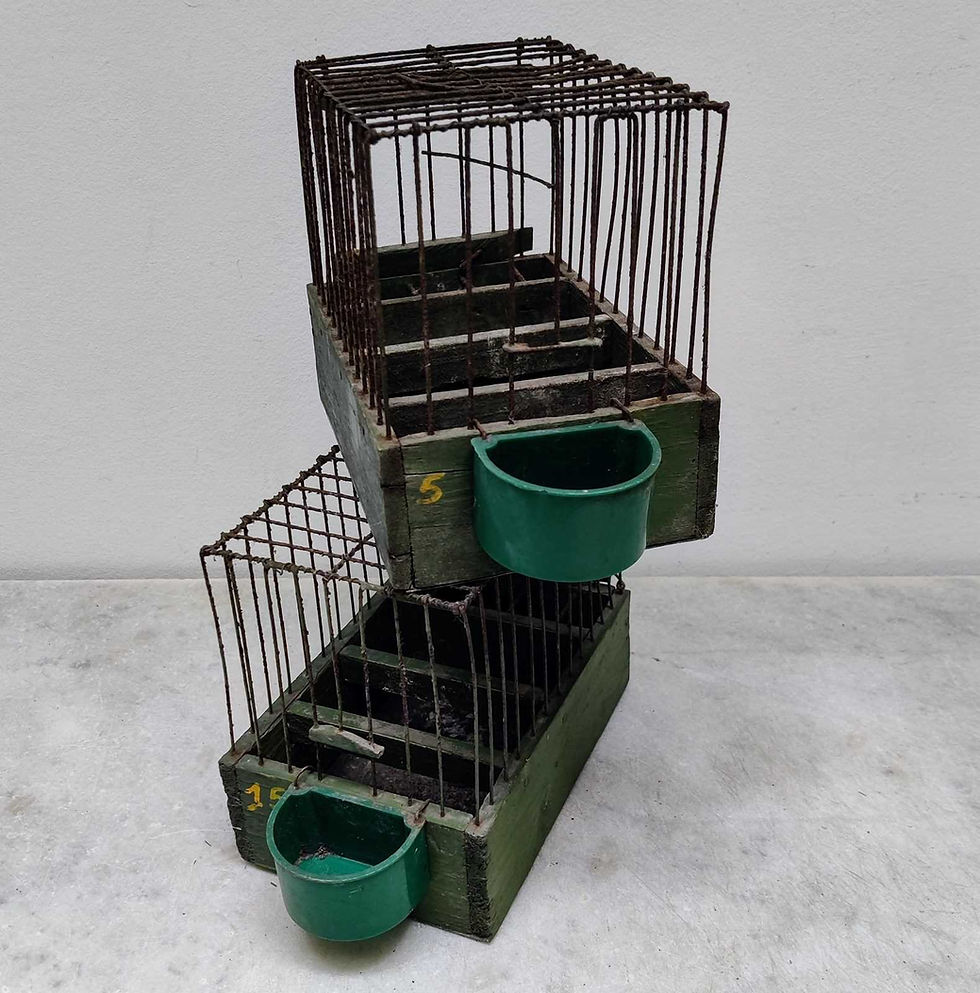 Thumbnail: Tiny French Green Painted Bird Cages
