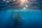 A large school of mobula rays swims in formation in the deep blue ocean, with sun rays piercing through the surface water abo