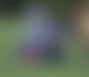 Saturday 2 November 2013