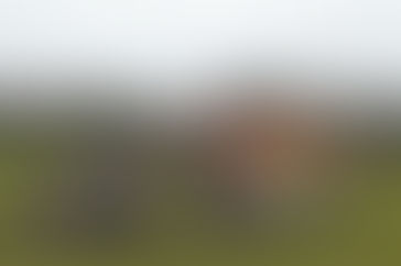 Saturday 16 January 2010