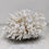 Thumbnail: Decorative Chunk Of White Coral