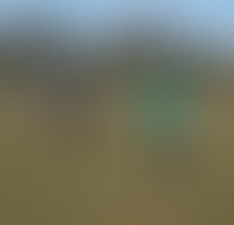 Saturday 6 April 2013